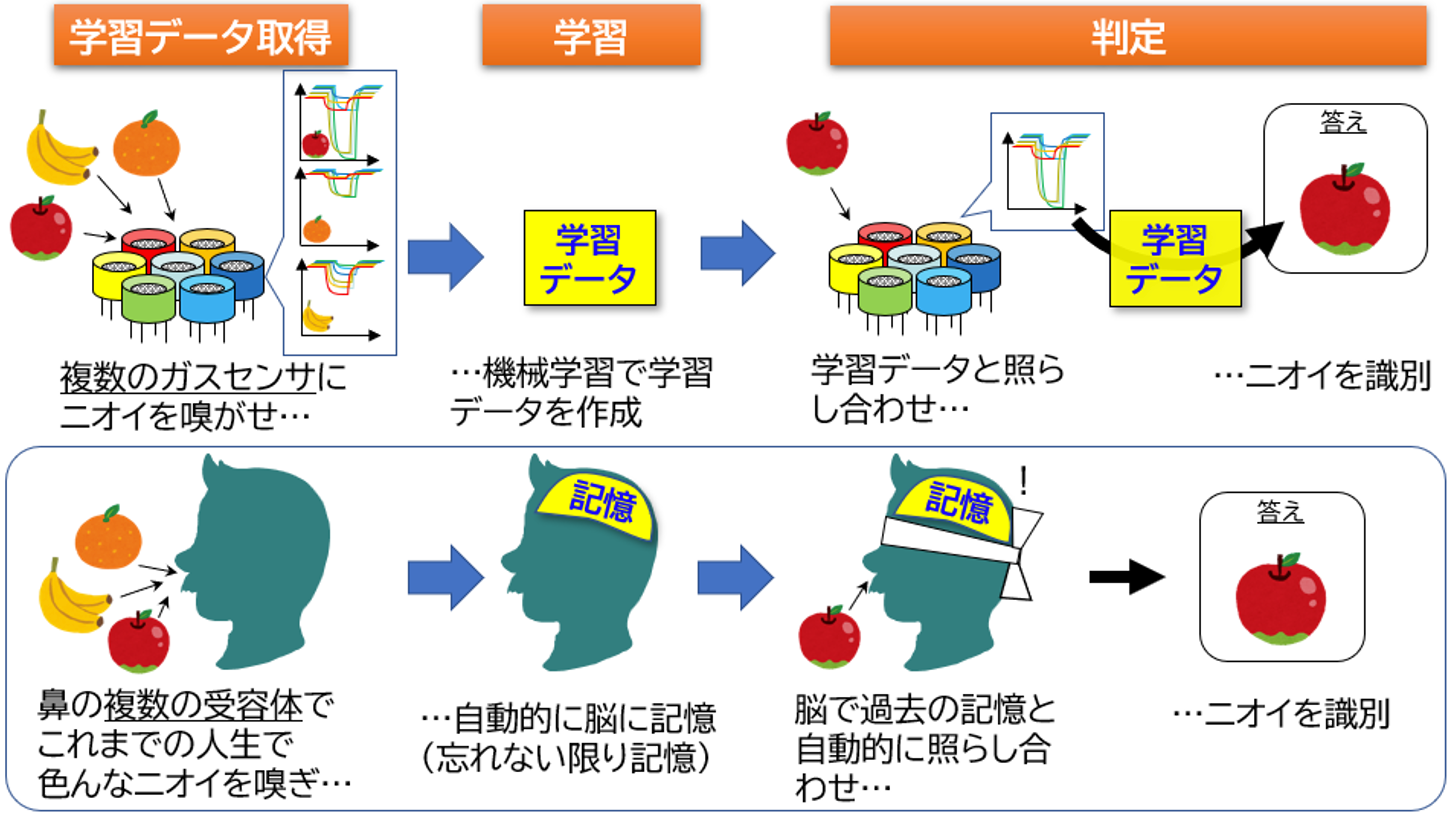 においを“見える化”する！センサ技術とアプリによる簡単におい判定